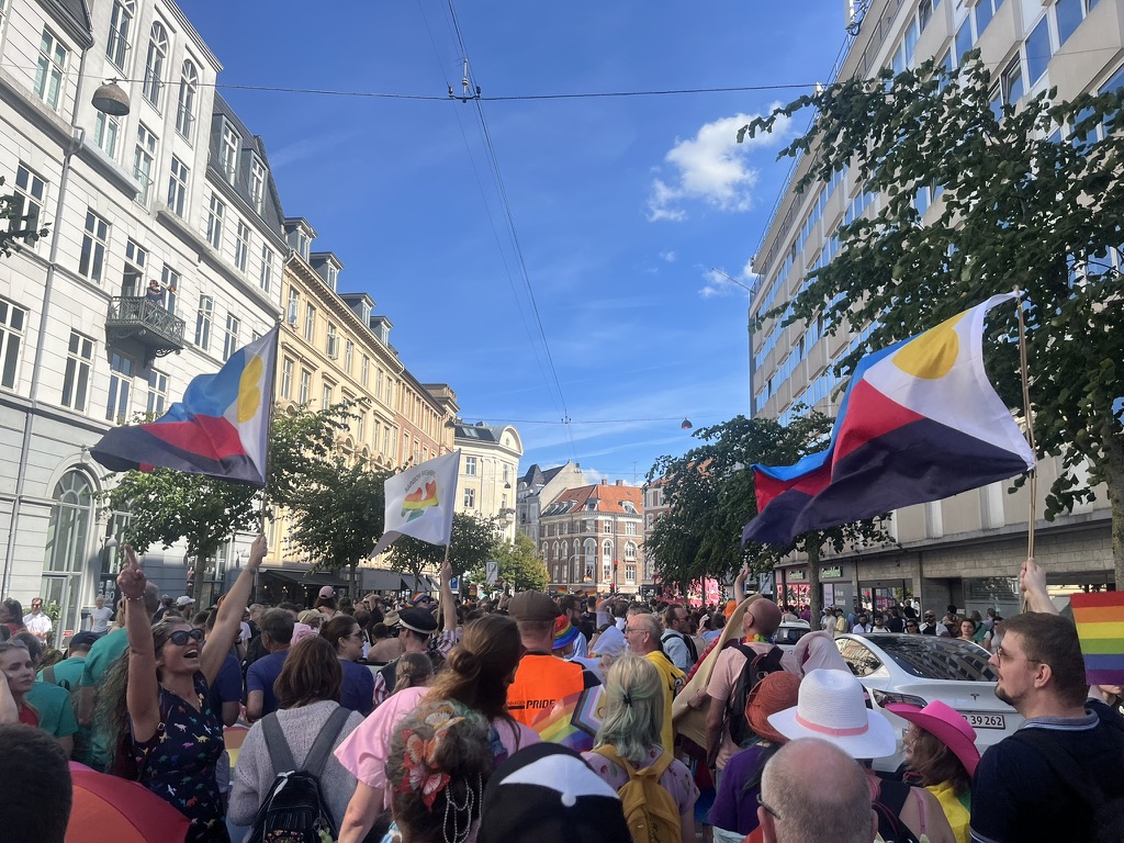 Mængde af mennesker til Copenhagen Pride, der vifter med polyamori-flag i solskin